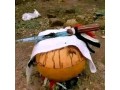 incanada-australia-27672740459powerful-traditional-healer-in-usa-uae-england-turkey-netherlan-south-africanamibiazambiazimbabwe-small-0