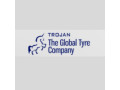 double-coin-tires-trusted-worldwide-trojan-the-global-tyre-company-small-1
