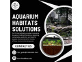 home-aquarium-installation-full-circle-habitats-small-0