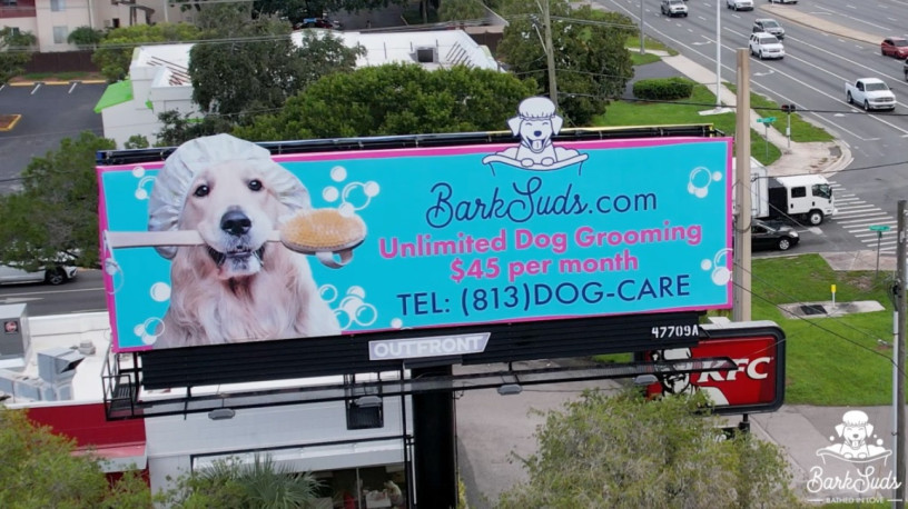 gentle-grooming-services-for-healthy-pets-big-0