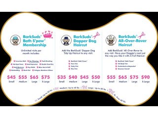 Comprehensive & Gentle Dog Grooming Services in Winter Park