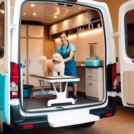 trusted-dog-grooming-care-in-south-tampa-big-0