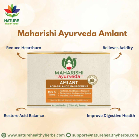 maharishi-ayurveda-amlant-tablets-big-0