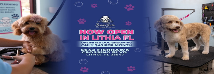 bark-suds-fishhawk-big-0