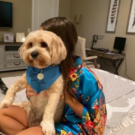 local-grooming-support-in-westchase-big-0