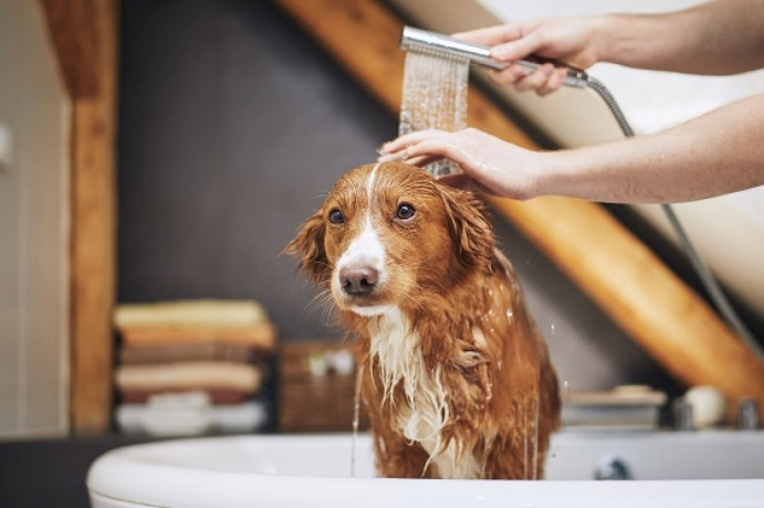 easy-dog-bath-solutions-big-0