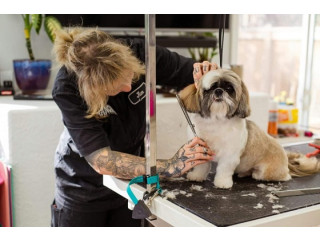 Where Comfort Meets Style