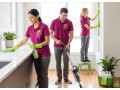 eco-friendly-cleaning-services-houston-small-0