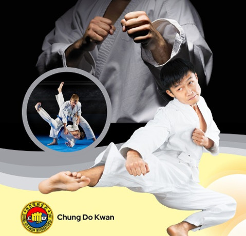 traditional-chung-do-kwan-taekwondo-training-big-0