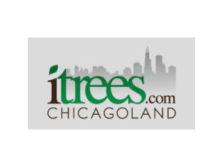 Tree Planting Chicago