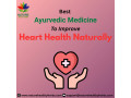 best-ayurvedic-medicine-to-improve-heart-health-naturally-small-0