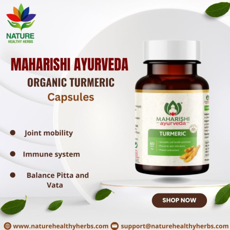 maharishi-ayurveda-organic-turmeric-capsules-big-0