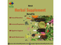 best-herbal-supplement-small-0