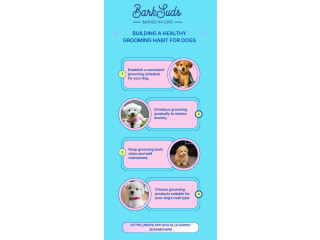 Gentle Pet Grooming Care for Healthy and Happy Pets