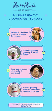 gentle-pet-grooming-care-for-healthy-and-happy-pets-big-0