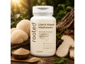 lions-mane-mushroom-60-capsules-small-0