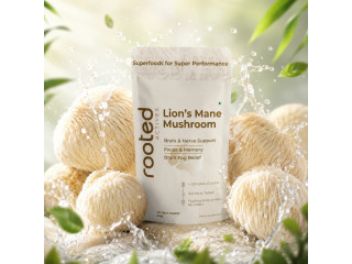 Lion's Mane Mushroom Extract Powder