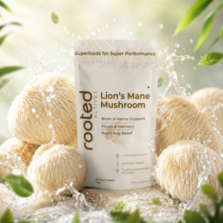 lions-mane-mushroom-extract-powder-big-0
