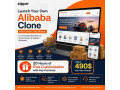 can-one-app-handle-retail-wholesale-alibaba-clone-490-small-0
