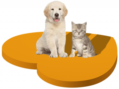 PETS