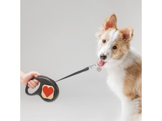 Video Game Graphic Retractable Pet Leash