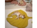 leafy-pet-blanket-small-0