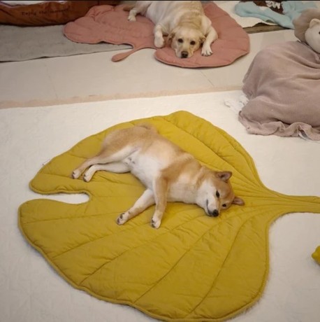 leafy-pet-blanket-big-0