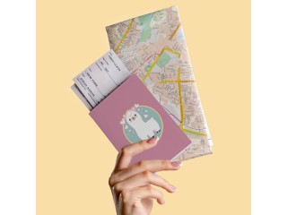 Cute Llama Passport Cover