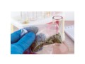 k2-herbal-incense-next-day-delivery-usa-small-0