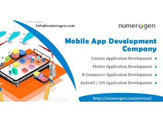 Professional Web/Mobile App Development Company in Himachal Pradesh