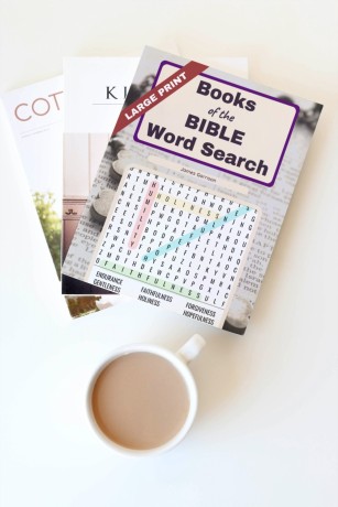 books-of-the-bible-word-search-66-bible-book-themed-large-print-puzzles-big-0