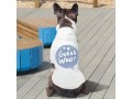 guess-who-dog-hoodie-small-0