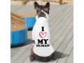 text-design-dog-coat-small-0
