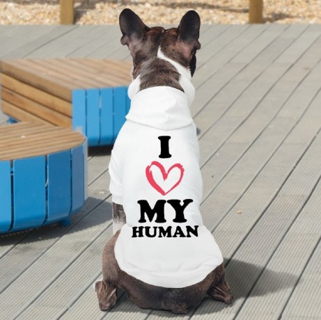 text-design-dog-coat-big-0
