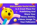create-your-own-online-business-on-bidvaluable-small-3