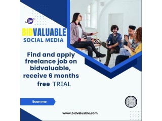 Create Your Own Online Business on bidvaluable