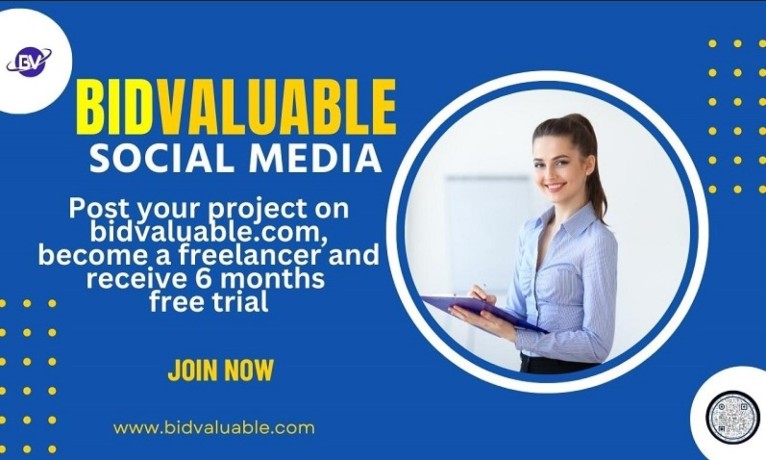 create-your-own-online-business-on-bidvaluable-big-1