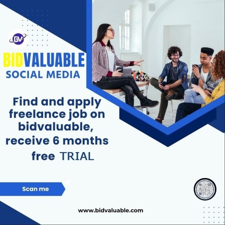 create-your-own-online-business-on-bidvaluable-big-0