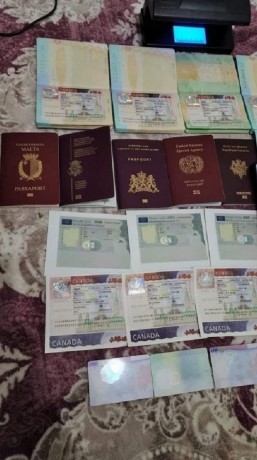 the-best-place-to-buy-real-documents-online-big-2