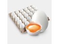 egg-wholesale-price-in-namakkalsri-selvalakshmi-feeds-farms-small-1