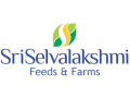 egg-wholesale-price-in-namakkalsri-selvalakshmi-feeds-farms-small-0