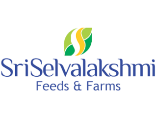 Egg Wholesale Price in Namakkal|Sri selvalakshmi Feeds & Farms