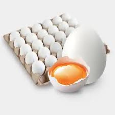 egg-wholesale-price-in-namakkalsri-selvalakshmi-feeds-farms-big-1