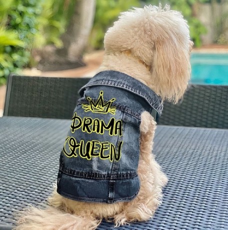 drama-queen-dog-denim-vest-big-0