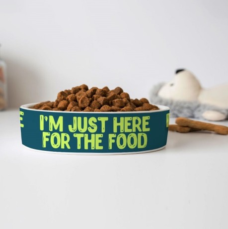 funny-design-dog-bowl-big-0