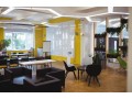 elevate-your-space-with-the-best-interior-design-firm-in-california-small-0