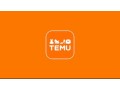 shop-like-a-billionaire-at-temu-small-0