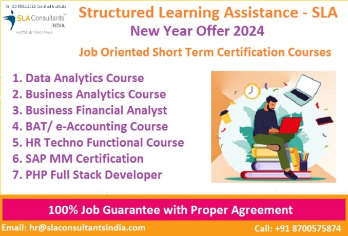 job-guarantee-data-analyst-institute-delhi-noida-ghaziabad-sla-course-power-bi-tableau-training-certification-100-job-2024-offer-big-0