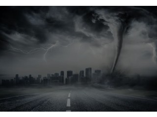 Expert Storm Damage Contractor for Swift Restoration Services
