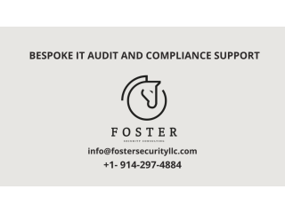 BESPOKE IT AUDIT AND COMPLIANCE SUPPORT